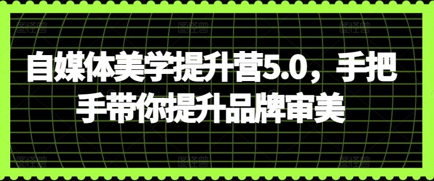 自媒体美学提升营5.0，手把手带你提升品牌审美-佳佳云创网