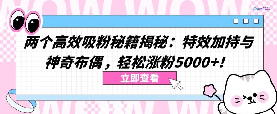 两个高效吸粉秘籍揭秘：特效加持与神奇布偶，轻松涨粉5000+【揭秘】-佳佳云创网