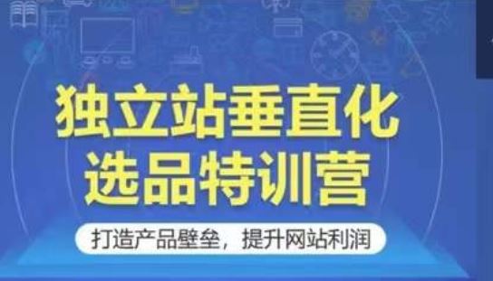 独立站垂直化选品特训营，打造产品壁垒，提升网站利润-佳佳云创网
