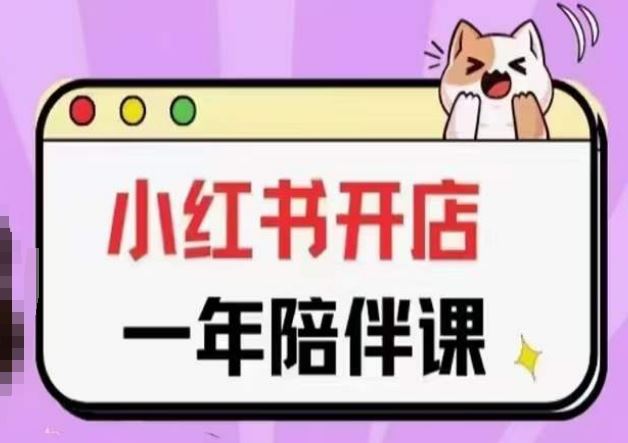 三九小红书开店一年陪伴课(更新)，从0到1玩赚小红书开店-佳佳云创网