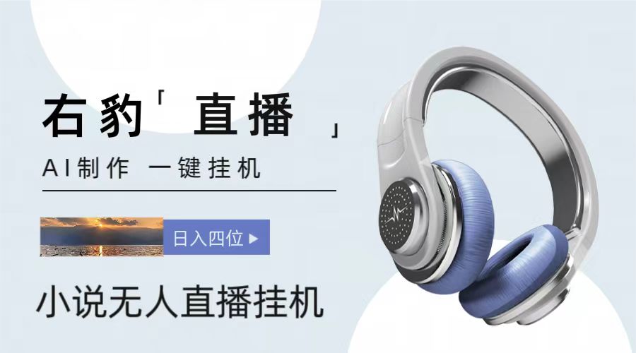 右豹小说无人直播挂机吸金项目，简单易行收益稳定， 月入1000+-佳佳云创网