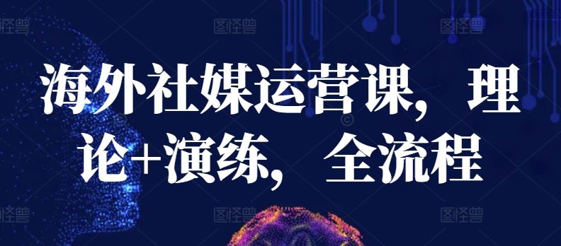 海外社媒运营课，理论+演练，全流程-佳佳云创网