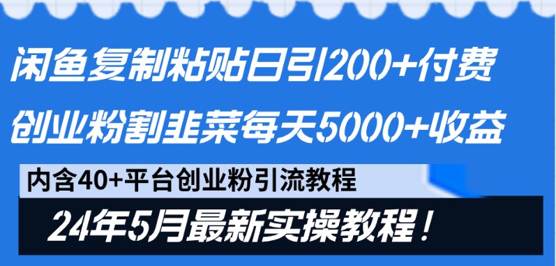 闲鱼复制粘贴日引200+付费创业粉，24年5月最新方法！割韭菜日稳定5000+收益-佳佳云创网