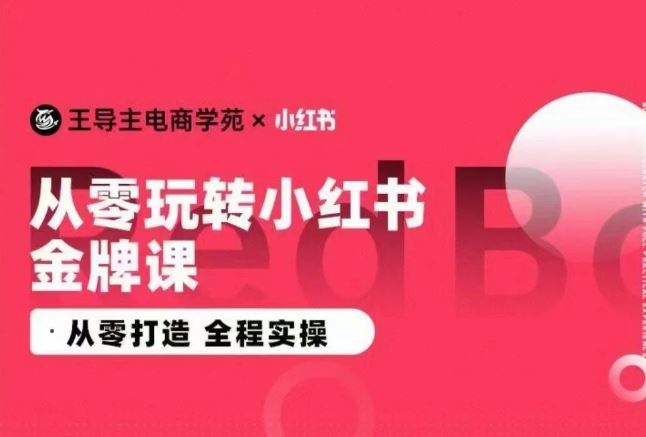 王导主·小红书电商运营实操课，​从零打造  全程实操-佳佳云创网