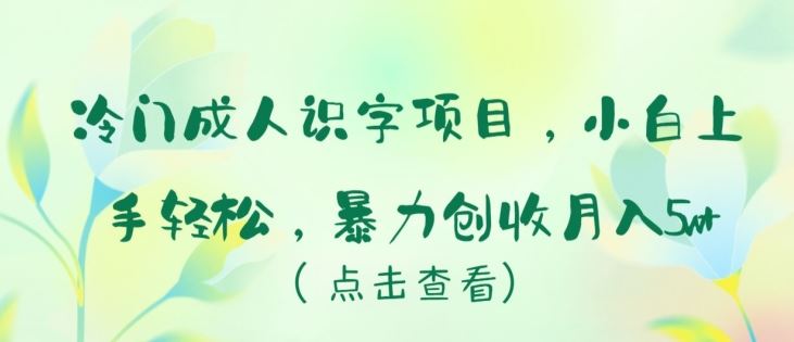 冷门成人识字项目，小白上手轻松，暴力创收月入5w+【揭秘】-佳佳云创网