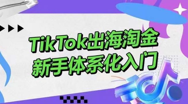 TikTok出海淘金，新手体系化入门，零基础快速入门，掌握短视频、直播带货等引流到变现的知识-佳佳云创网