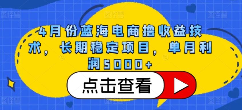 4月份蓝海电商撸收益技术，长期稳定项目，单月利润5000+【揭秘】-佳佳云创网
