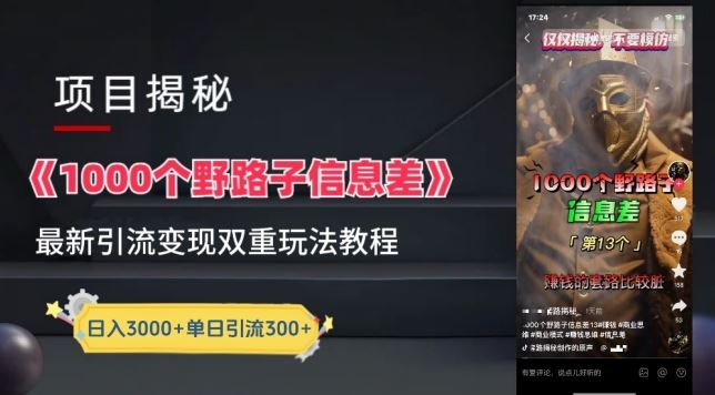 一千个野路子信息差最新玩法教程-变现+引流的玩法具体拆解【揭秘】-佳佳云创网