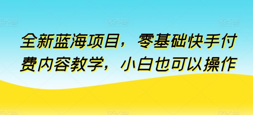 全新蓝海项目，零基础快手付费内容教学，小白也可以操作【揭秘】-佳佳云创网