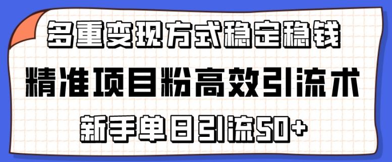 精准项目粉高效引流术，新手单日引流50+，多重变现方式稳定赚钱【揭秘】-佳佳云创网