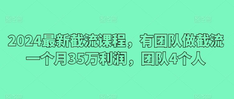 2024最新截流课程，有团队做截流一个月35万利润，团队4个人-佳佳云创网
