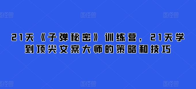 21天《子弹秘密》训练营，21天学到顶尖文案大师的策略和技巧-佳佳云创网