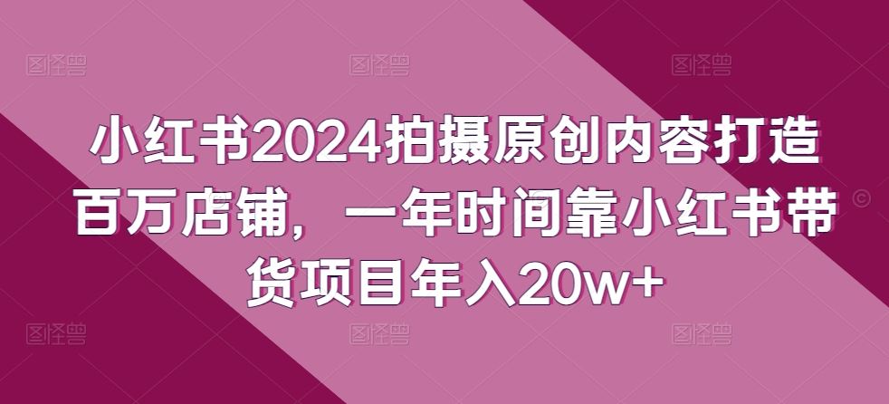 小红书2024拍摄原创内容打造百万店铺，一年时间靠小红书带货项目年入20w+-佳佳云创网