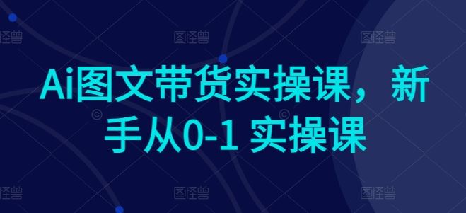 Ai图文带货实操课，新手从0-1 实操课-佳佳云创网