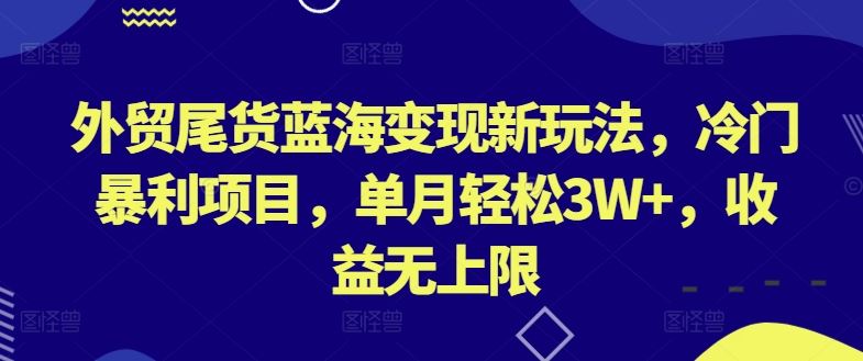 外贸尾货蓝海变现新玩法，冷门暴利项目，单月轻松3W+，收益无上限【揭秘】-佳佳云创网