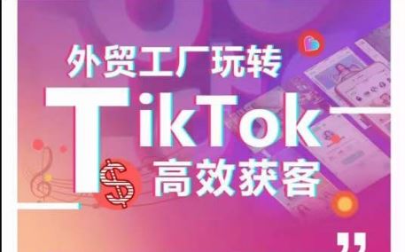 外贸工厂玩转TikTok高效获客，多种引流方式与账号定位技巧，拆解爆款短视频打造成功案例-佳佳云创网