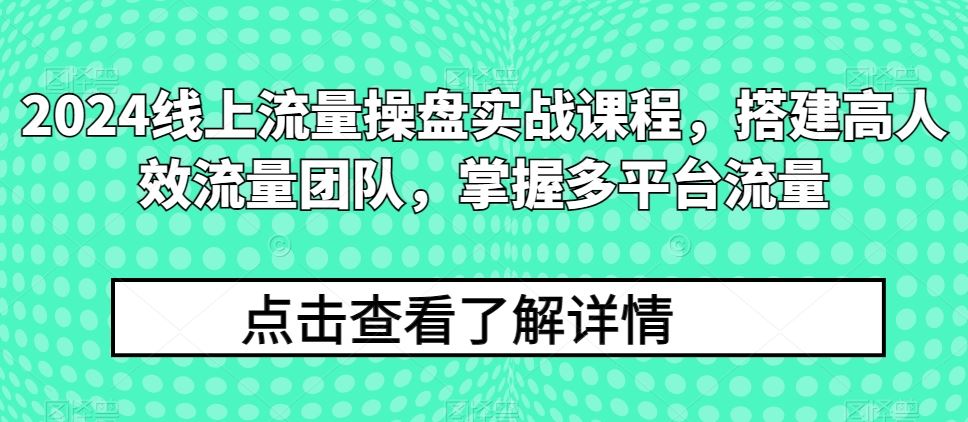 2024线上流量操盘实战课程，搭建高人效流量团队，掌握多平台流量-佳佳云创网