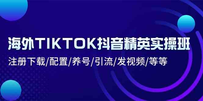 海外TIKTOK抖音精英实操班：注册下载/配置/养号/引流/发视频/等等-佳佳云创网