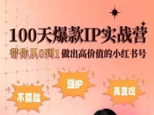 小红书100天爆款IP实战营，带你从0到1做出高价值的小红书号-佳佳云创网