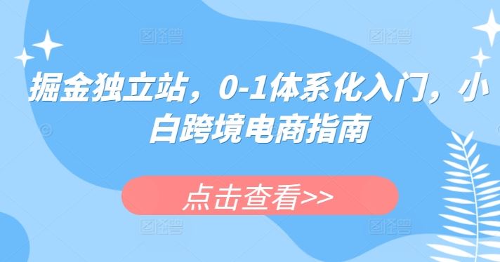 掘金独立站，0-1体系化入门，小白跨境电商指南-佳佳云创网