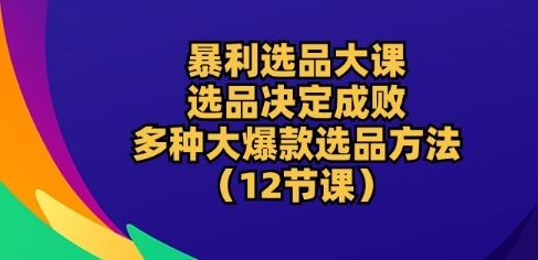 暴利选品大课：选品决定成败，教你多种大爆款选品方法(12节课)-佳佳云创网