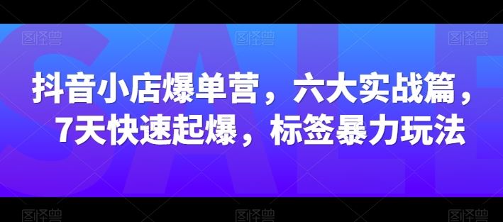 抖音小店爆单营，六大实战篇，7天快速起爆，标签暴力玩法-佳佳云创网