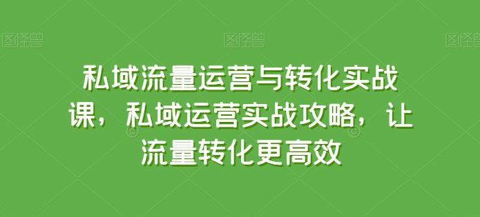 私域流量运营与转化实战课，私域运营实战攻略，让流量转化更高效-佳佳云创网