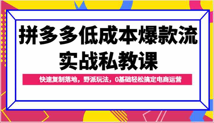 拼多多低成本爆款流实战私教课，快速复制落地，野派玩法，0基础轻松搞定电商运营-佳佳云创网