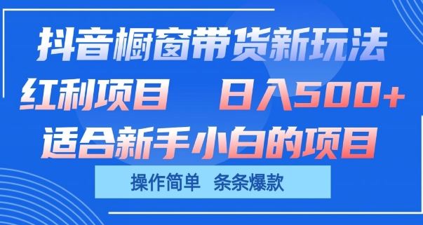 抖音橱窗带货新玩法，单日收益几张，操作简单，条条爆款【揭秘】-佳佳云创网
