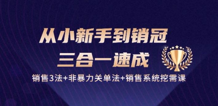 从小新手到销冠 三合一速成：销售3法+非暴力关单法+销售系统挖需课 (27节)-佳佳云创网