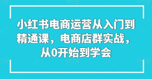 小红书电商运营从入门到精通课，电商店群实战，从0开始到学会-佳佳云创网