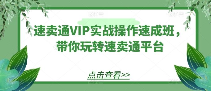 速卖通VIP实战操作速成班，带你玩转速卖通平台-佳佳云创网