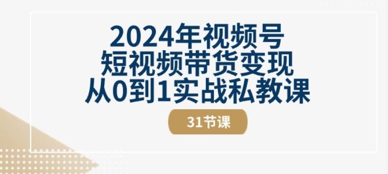 2024年视频号短视频带货变现从0到1实战私教课(31节视频课)-佳佳云创网