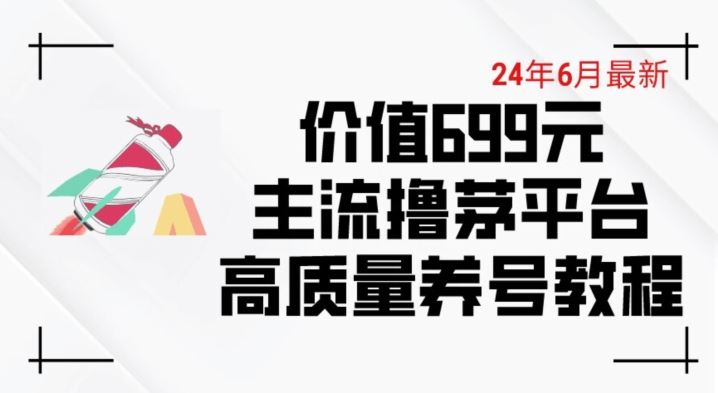 6月最新价值699的主流撸茅台平台精品养号下车攻略【揭秘】-佳佳云创网
