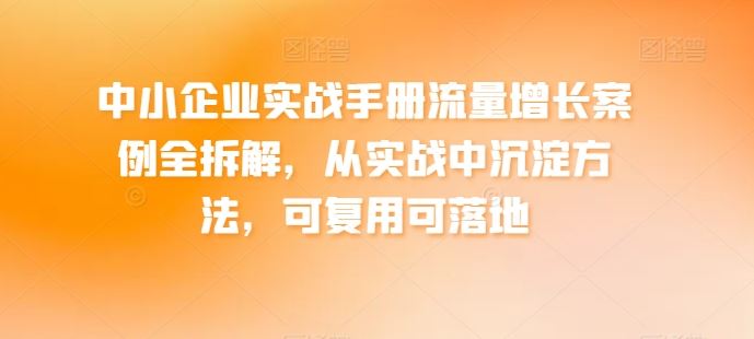 中小企业实战手册流量增长案例全拆解，从实战中沉淀方法，可复用可落地-佳佳云创网
