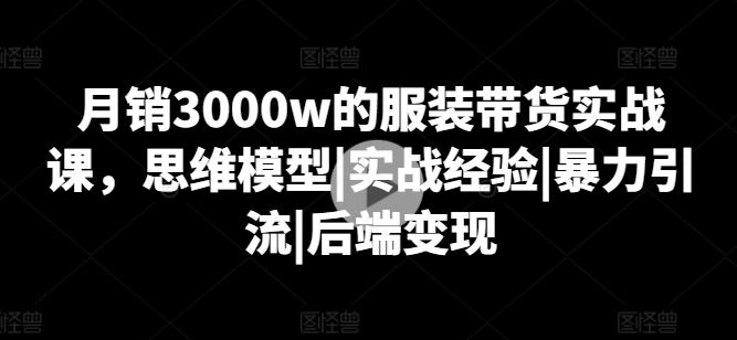 月销3000w的服装带货实战课，思维模型|实战经验|暴力引流|后端变现-佳佳云创网