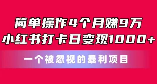 简单操作4个月赚9w，小红书打卡日变现1k，一个被忽视的暴力项目【揭秘】-佳佳云创网