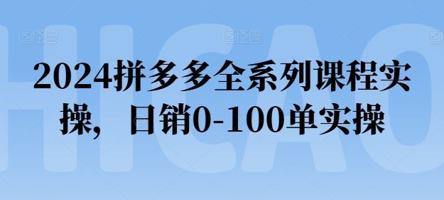 2024拼多多全系列课程实操，日销0-100单实操【必看】-佳佳云创网