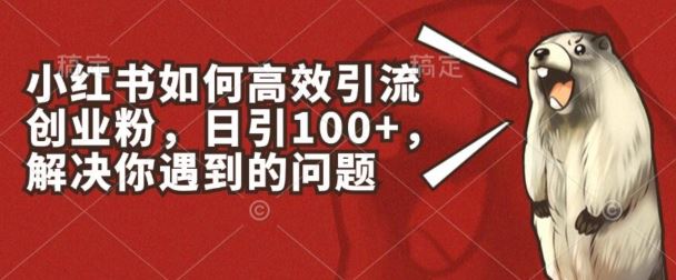 小红书如何高效引流创业粉，日引100+，解决你遇到的问题【揭秘】-佳佳云创网