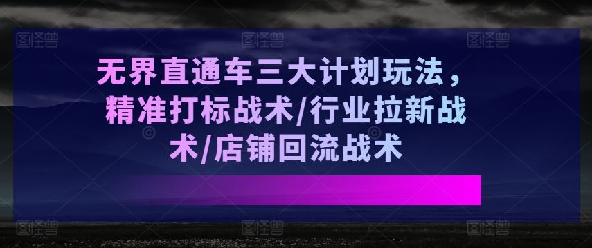 无界直通车三大计划玩法，精准打标战术/行业拉新战术/店铺回流战术-佳佳云创网