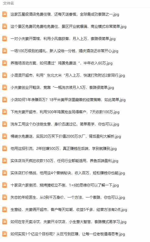 图片[4]-（9607期）真实有效391套商业模式，年入几十到几百万案例解析（电子书+视频+图文）-佳佳云创网