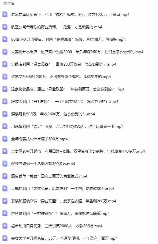图片[8]-（9607期）真实有效391套商业模式，年入几十到几百万案例解析（电子书+视频+图文）-佳佳云创网