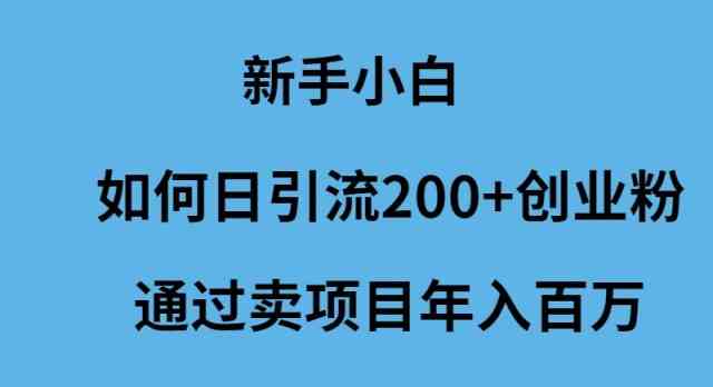 （9668期）新手小白如何日引流200+创业粉通过卖项目年入百万-佳佳云创网