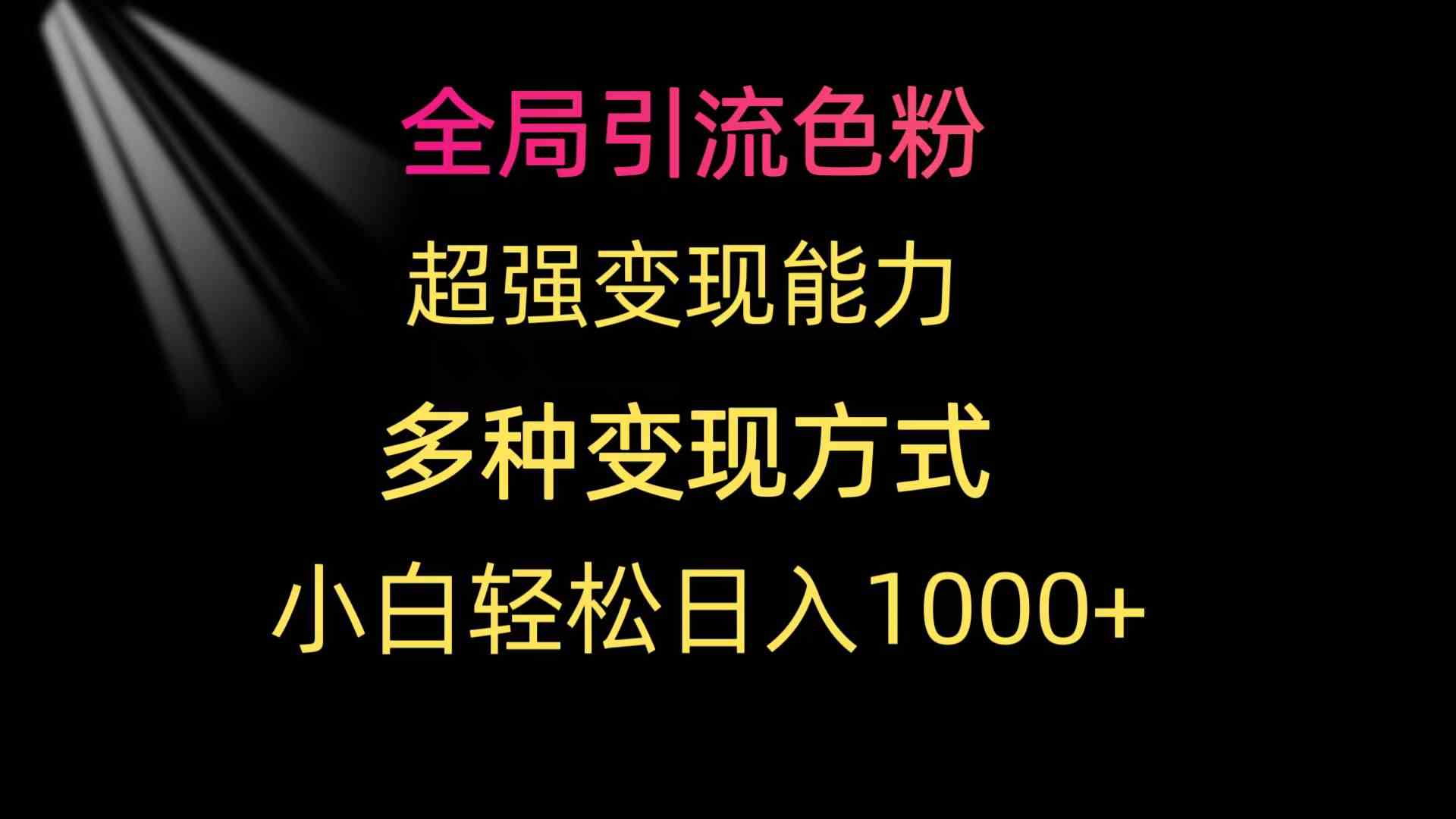 （9680期）全局引流色粉 超强变现能力 多种变现方式 小白轻松日入1000+-佳佳云创网