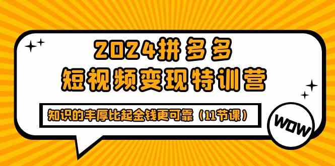 （9817期）2024拼多多短视频变现特训营，知识的丰厚比起金钱更可靠（11节课）-佳佳云创网