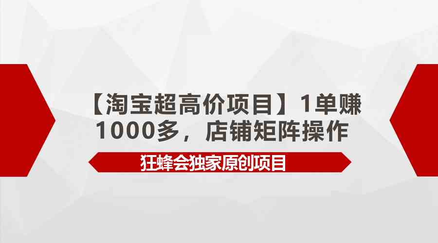 （9849期）【淘宝超高价项目】1单赚1000多，店铺矩阵操作-佳佳云创网