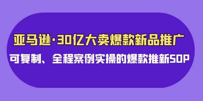 （9944期）亚马逊30亿·大卖爆款新品推广，可复制、全程案例实操的爆款推新SOP-佳佳云创网