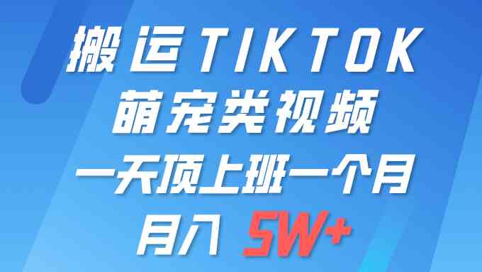 （9931期）一键搬运TIKTOK萌宠类视频 一部手机即可操作 所有平台均可发布 轻松月入5W+-佳佳云创网