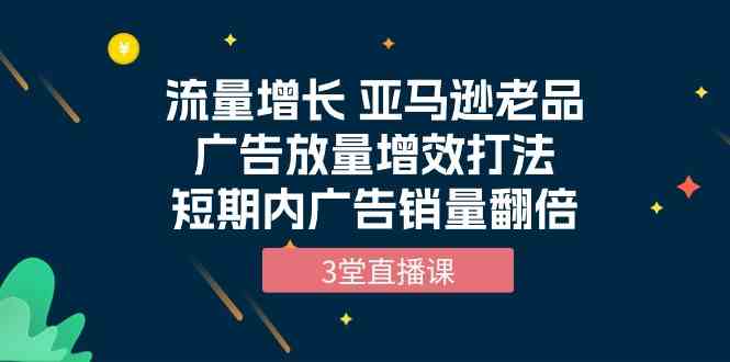 （10112期）流量增长 亚马逊老品广告放量增效打法，短期内广告销量翻倍（3堂直播课）-佳佳云创网