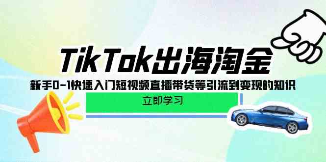 （10035期）TikTok-出海淘金，新手0-1快速入门短视频直播带货等引流到变现的知识-佳佳云创网